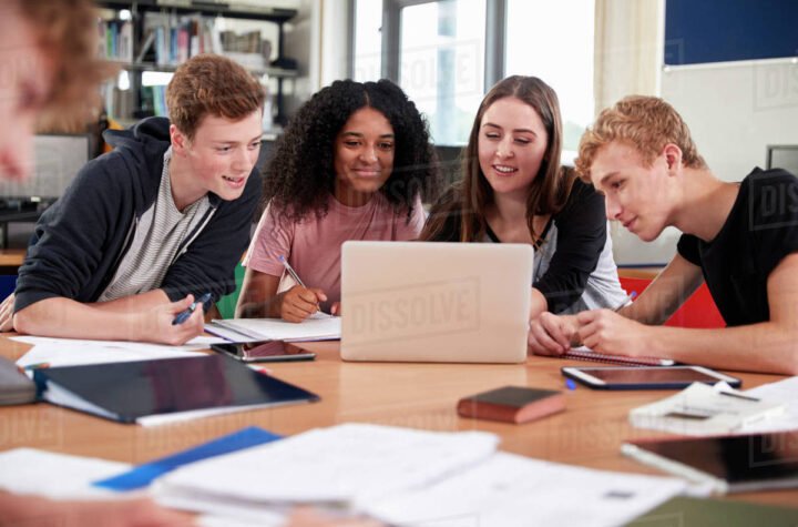 ib diploma coursework service