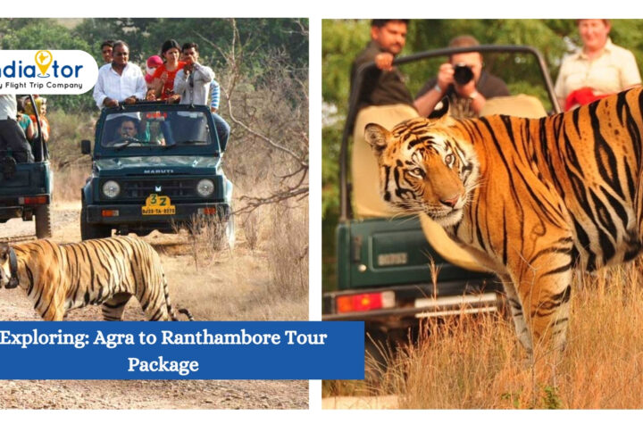 Agra To Ranthambore Tour Package