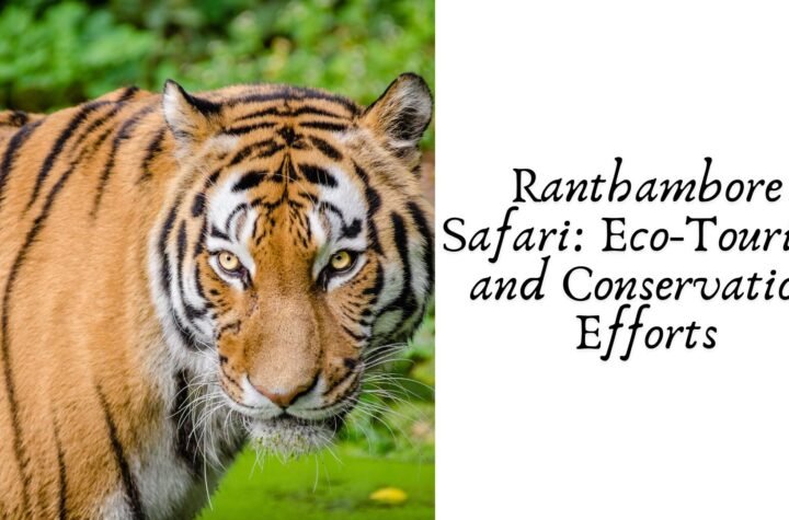 Ranthambore Safari: Eco-Tourism and Conservation Efforts