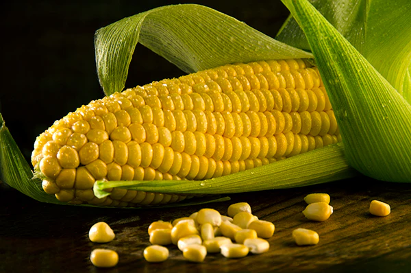 Sweet Corn