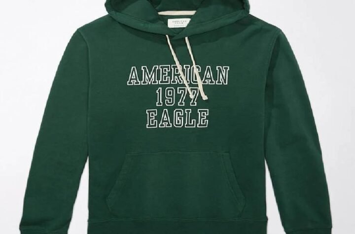 American 1977 Eagle Y2k Hoodie