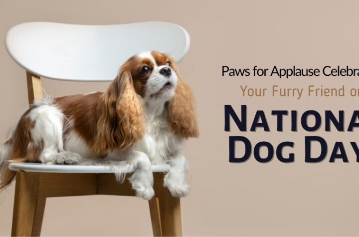 Paws for Applause Celebrating Your Furry Friend on National Dog Day