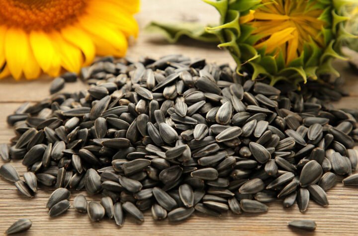 Sunflower Seeds