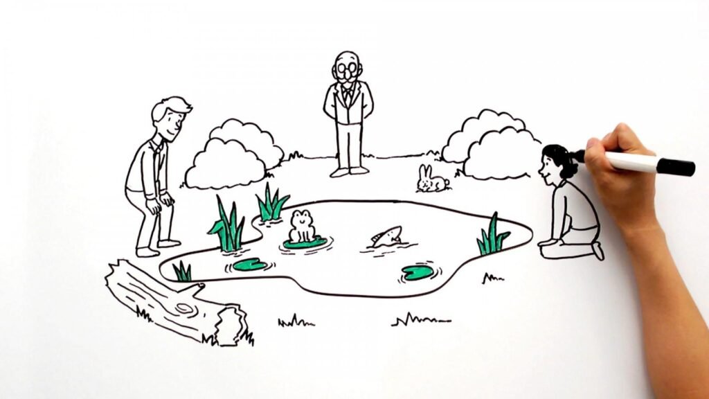 Whiteboard Animation