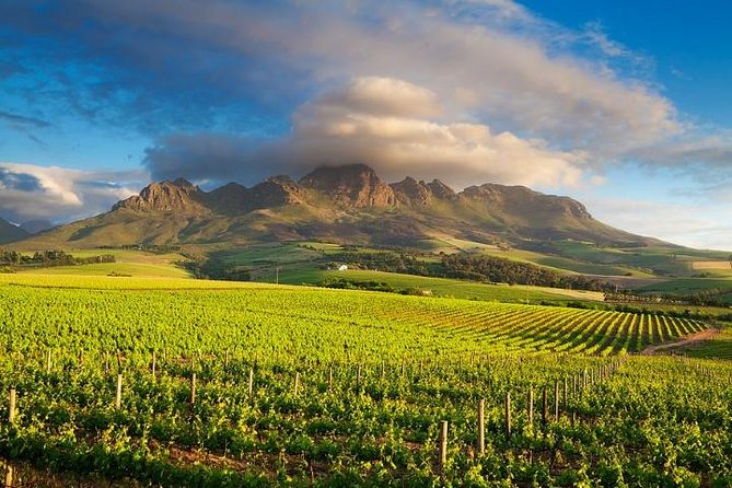 Cape Winelands