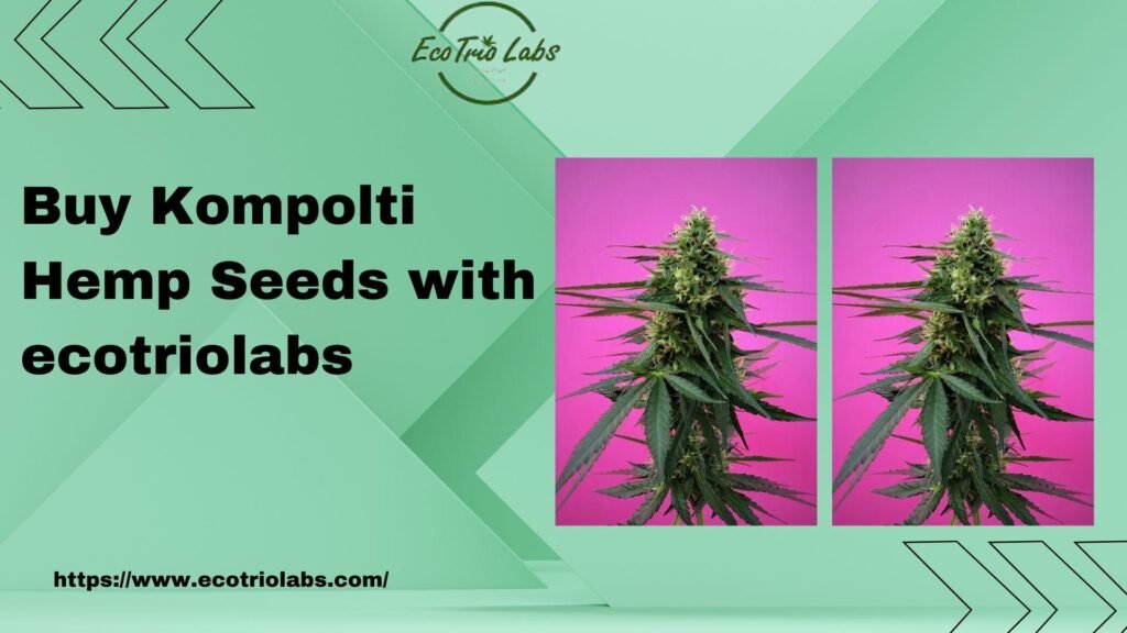 Kompolti Hemp Seeds