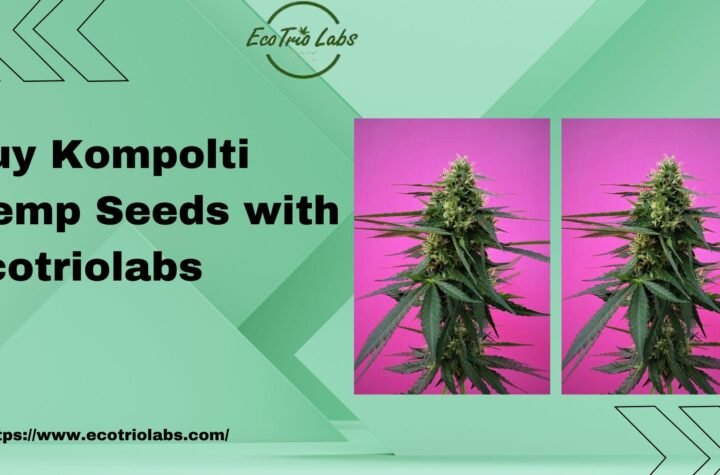 Kompolti Hemp Seeds