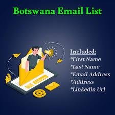 Boost ROI with a Botswana Email List