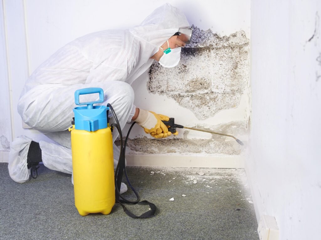 expert mold mitigation services