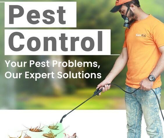Pest Control Services in Lahore, termite treatment in lahore,
