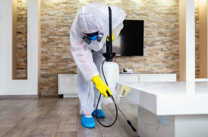 professional cleaning and disinfecting services