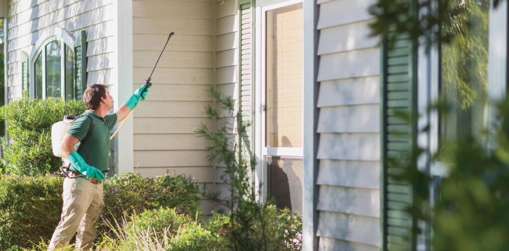 Termite Control Services and Pest Control