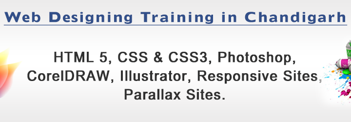 Web Designing Training in Chandigarh