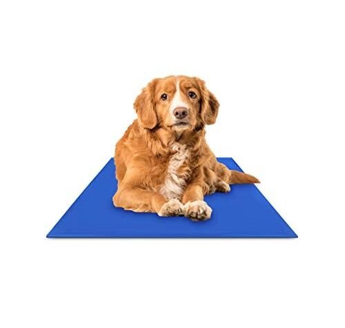 Best Zonli Dog Cooling Mat of 2024