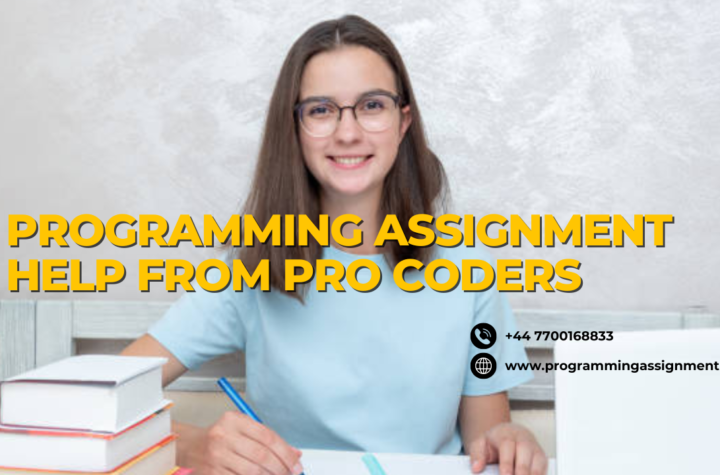 Programming Assignment Help