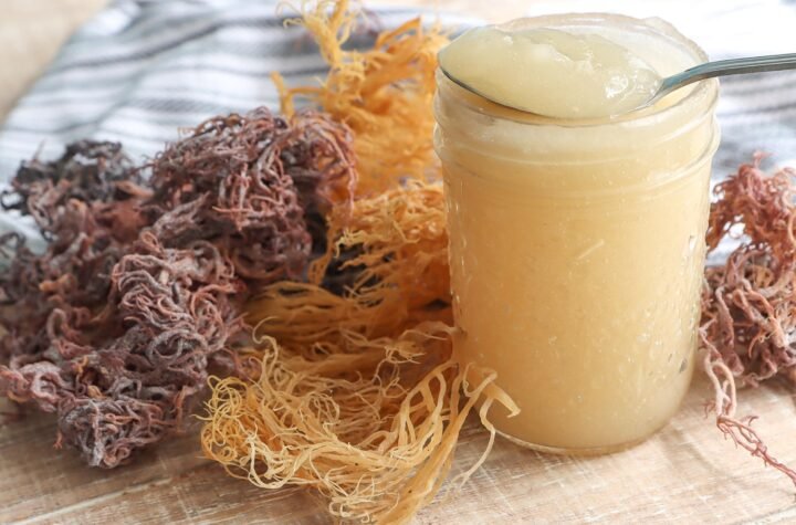 Sea moss gel