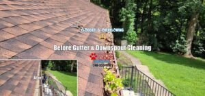 gutter Cleaning